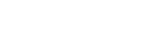 CSS Logo
